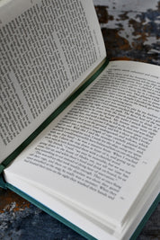 The Odyssey (Clothbound Hardcover)