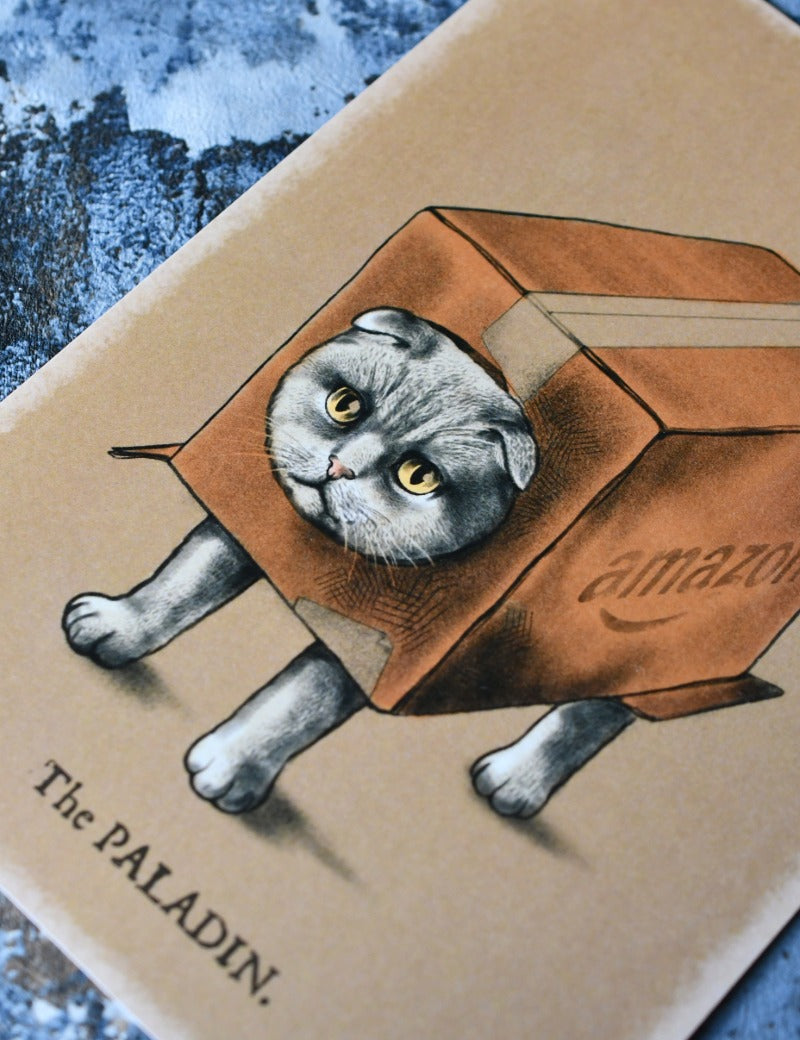PALADIN_CAT_4.jpg