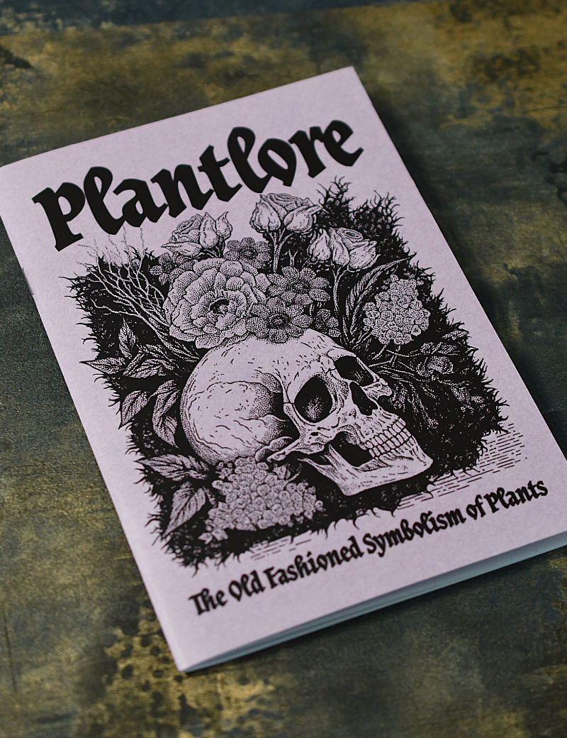 PLANTLORE_ZINE.png