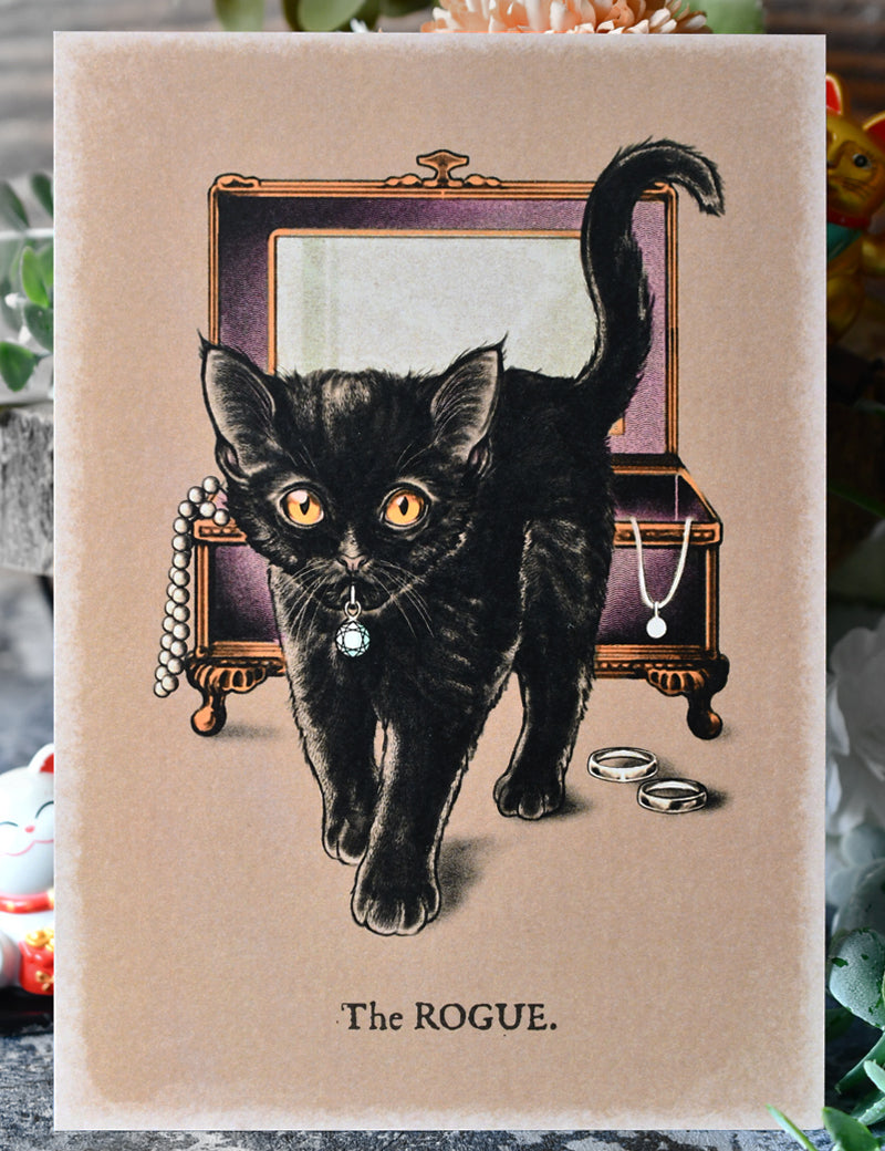 ROGUE_CAT_1.jpg