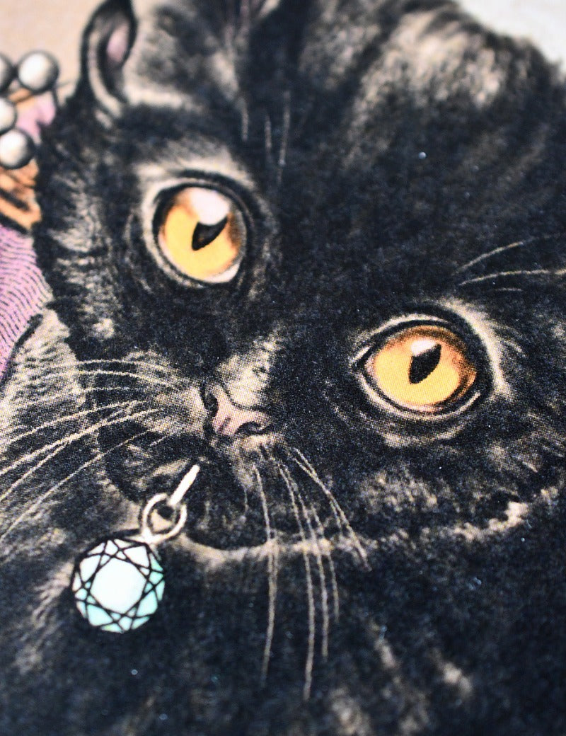 ROGUE_CAT_2.jpg