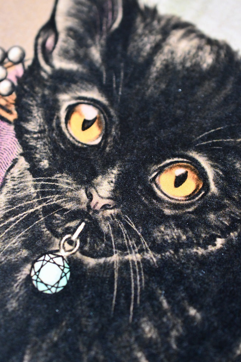 The Rogue Cat - Art Print