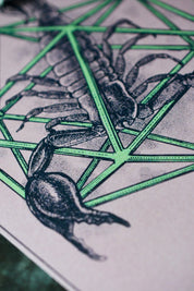 Scorpio - Zodiac d20 Art Print