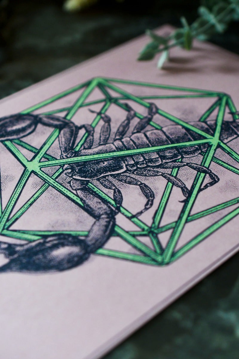 Scorpio - Zodiac d20 Art Print