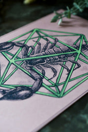 Scorpio - Zodiac d20 Art Print