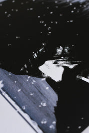 In the Darkness of Shadow Moses - Art Print