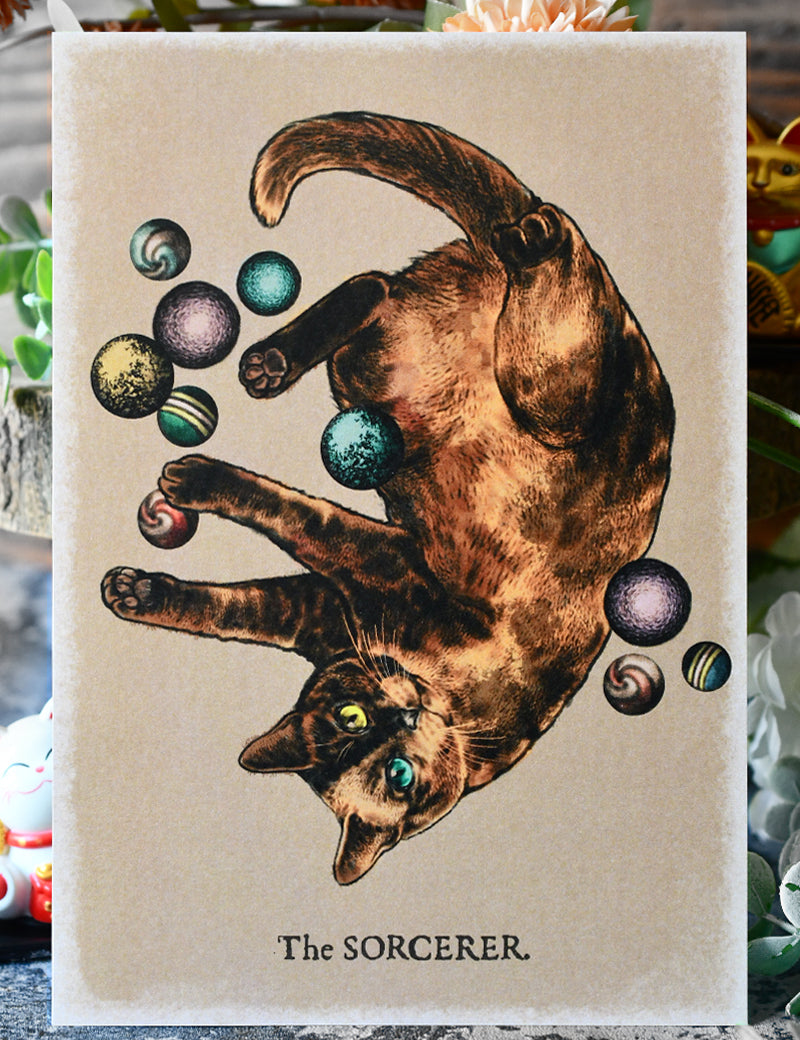 SORCERER_CAT_1.jpg