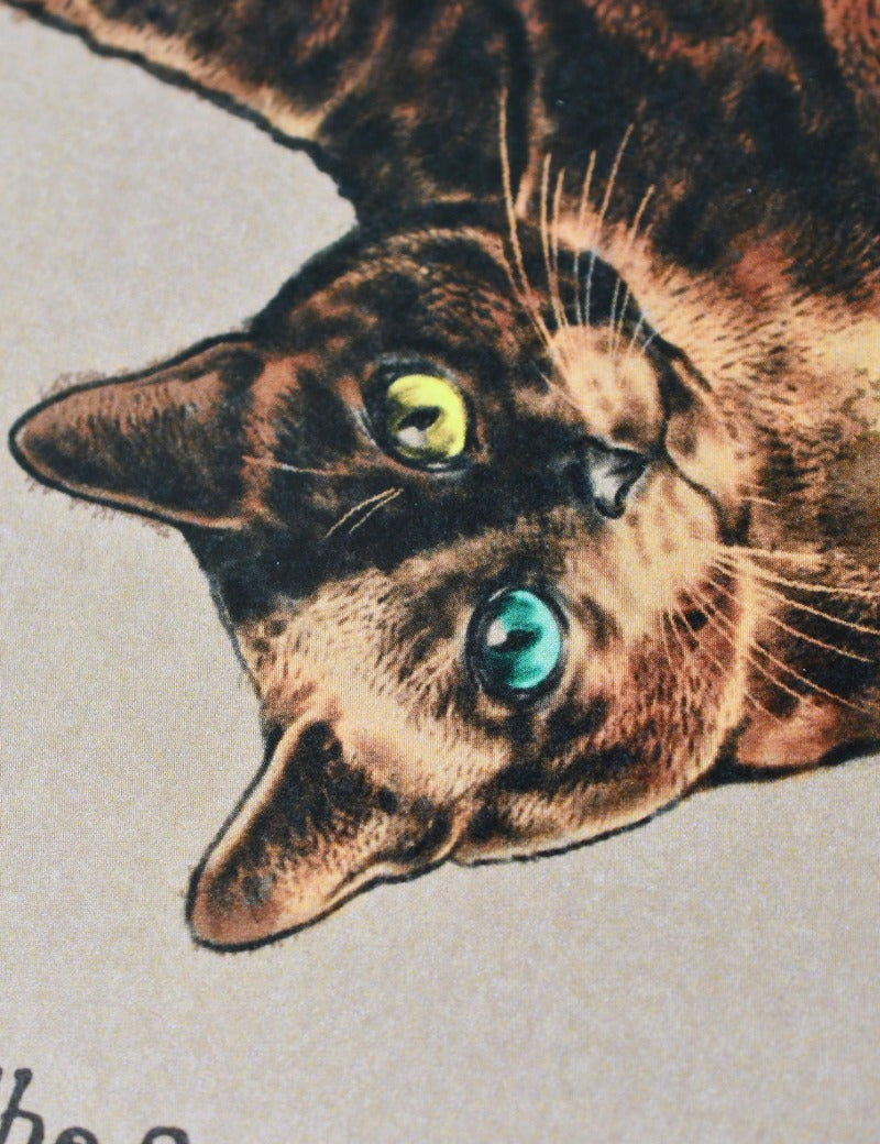 SORCERER_CAT_3.jpg