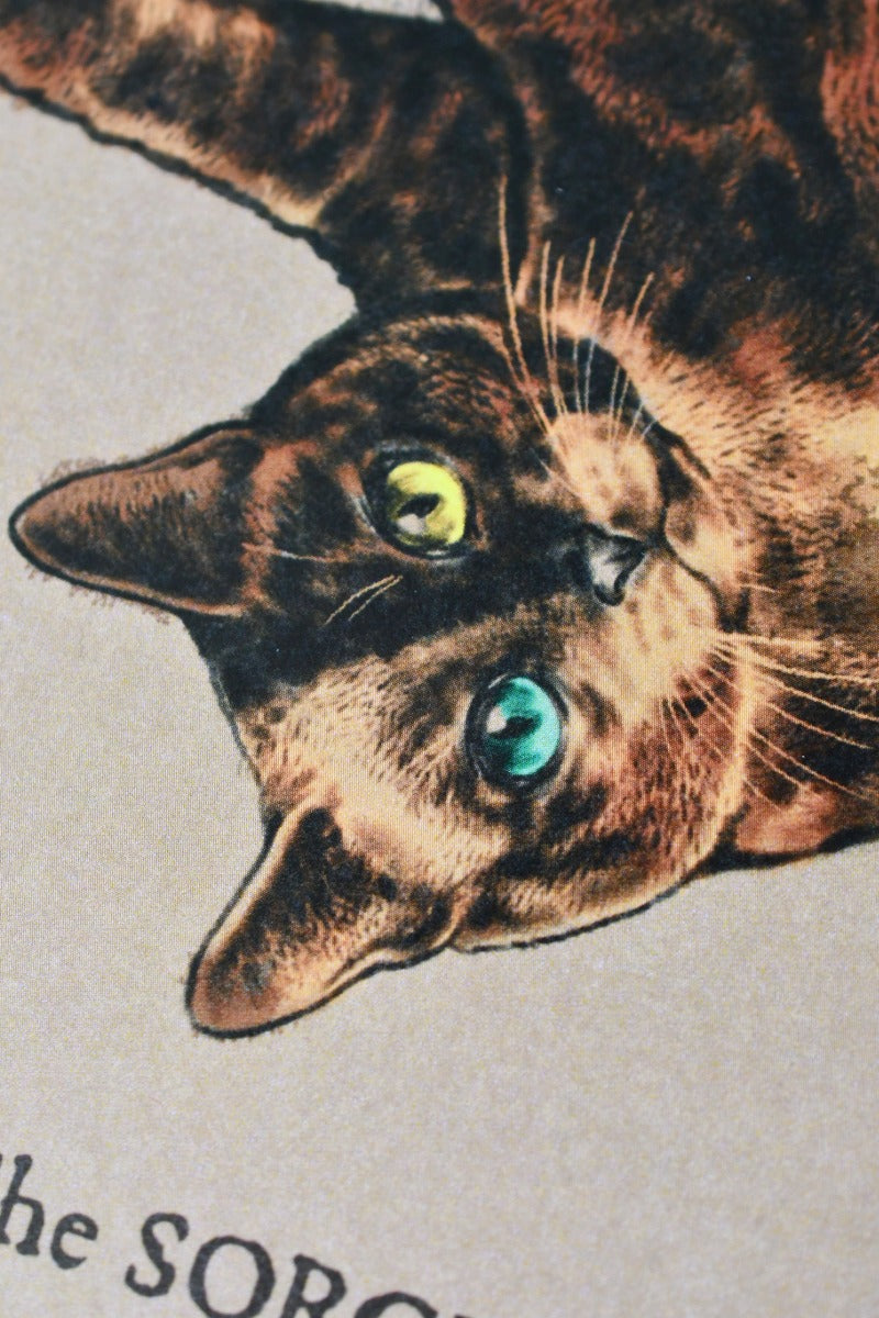 The Sorcerer Cat - Art Print