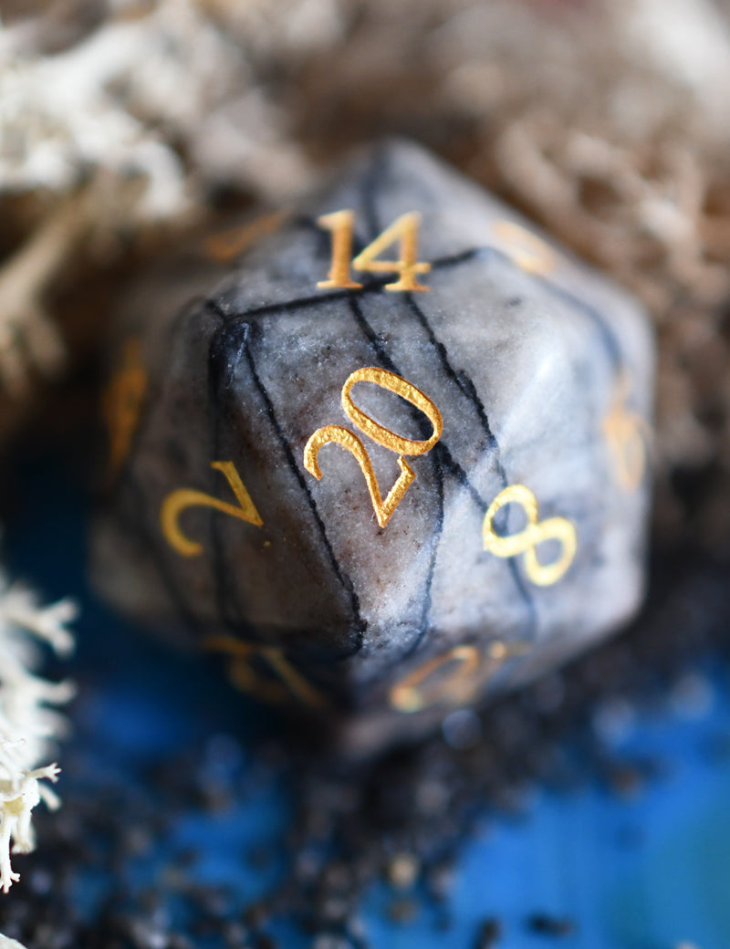 SPIDERWEB_JASPER_WEB_1.jpg