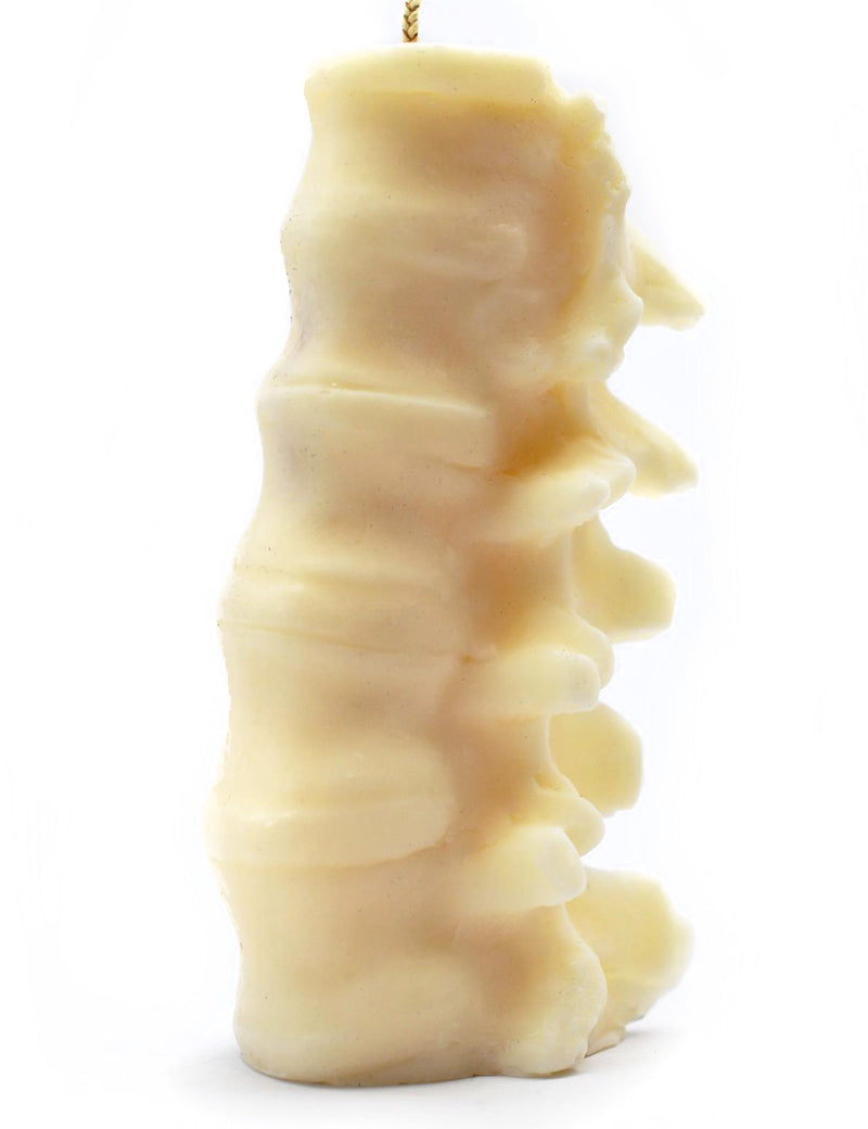 SPINE_CANDLE_1.jpg