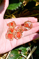 Strawberry Fields Forever - Acrylic Dice Set