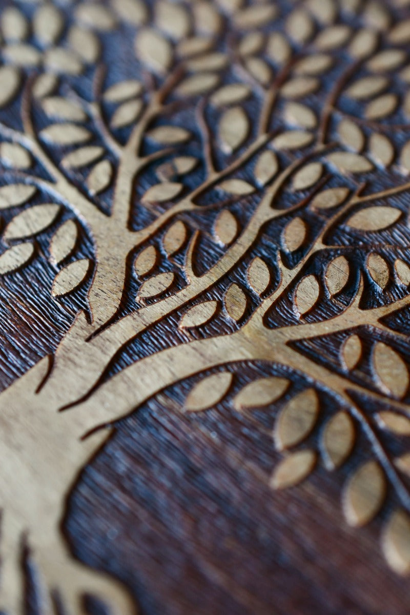 Tree of Ages - Handmade Mangowood Dice and Accessory Box