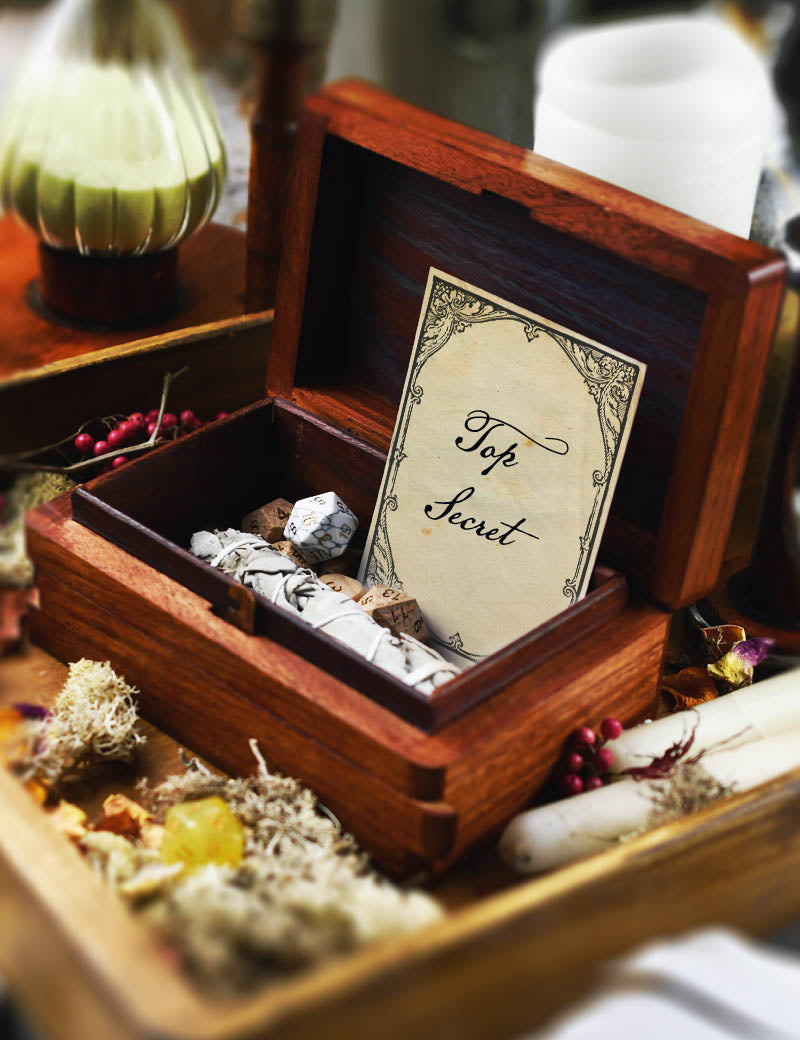 TRICKSTERS_PUZZLE_BOX_4.jpg