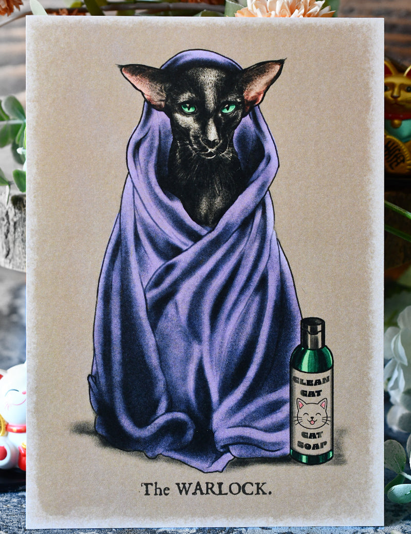 WARLOCK_CAT_1.jpg