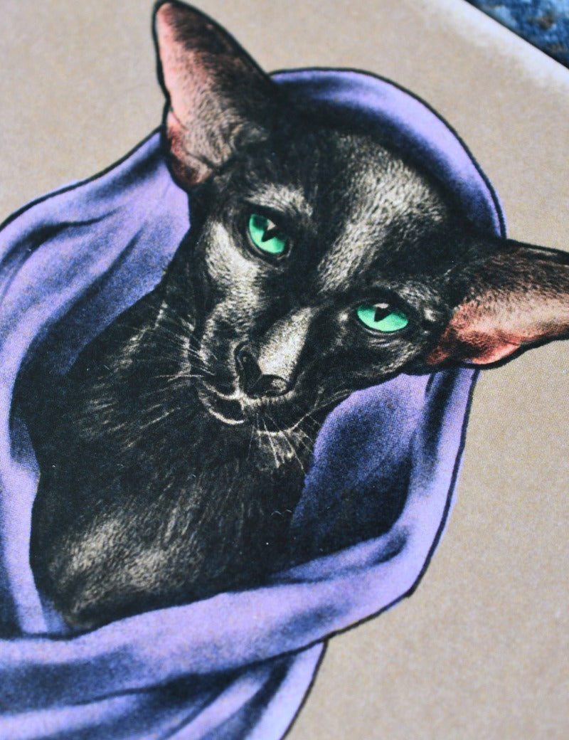 WARLOCK_CAT_4.jpg