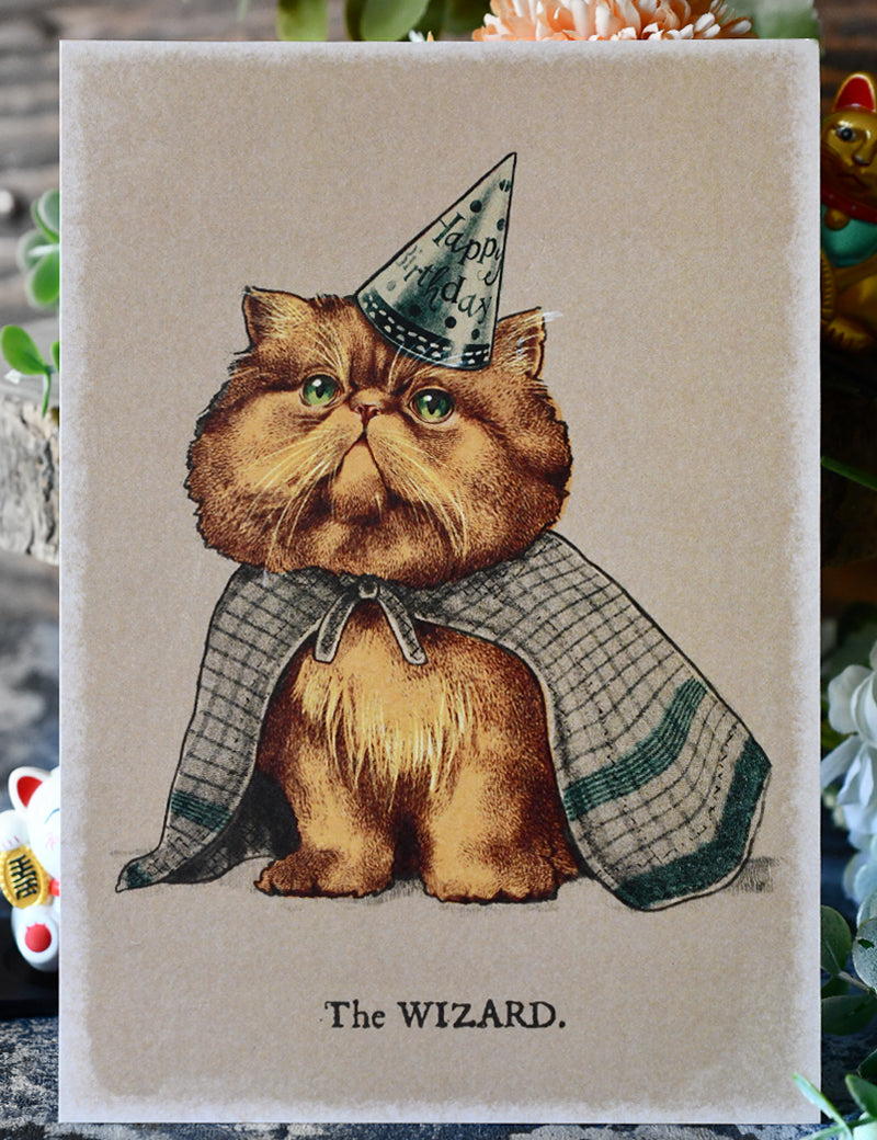 WIZARD_CAT_1.jpg