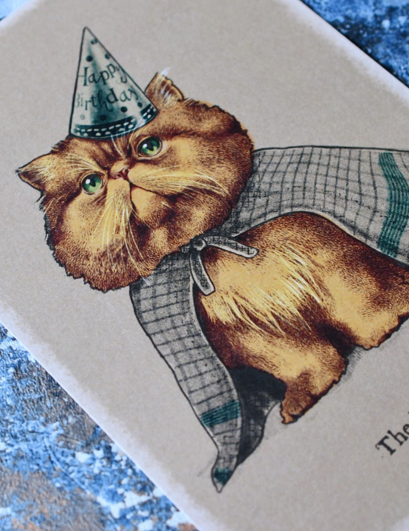 WIZARD_CAT_2.jpg