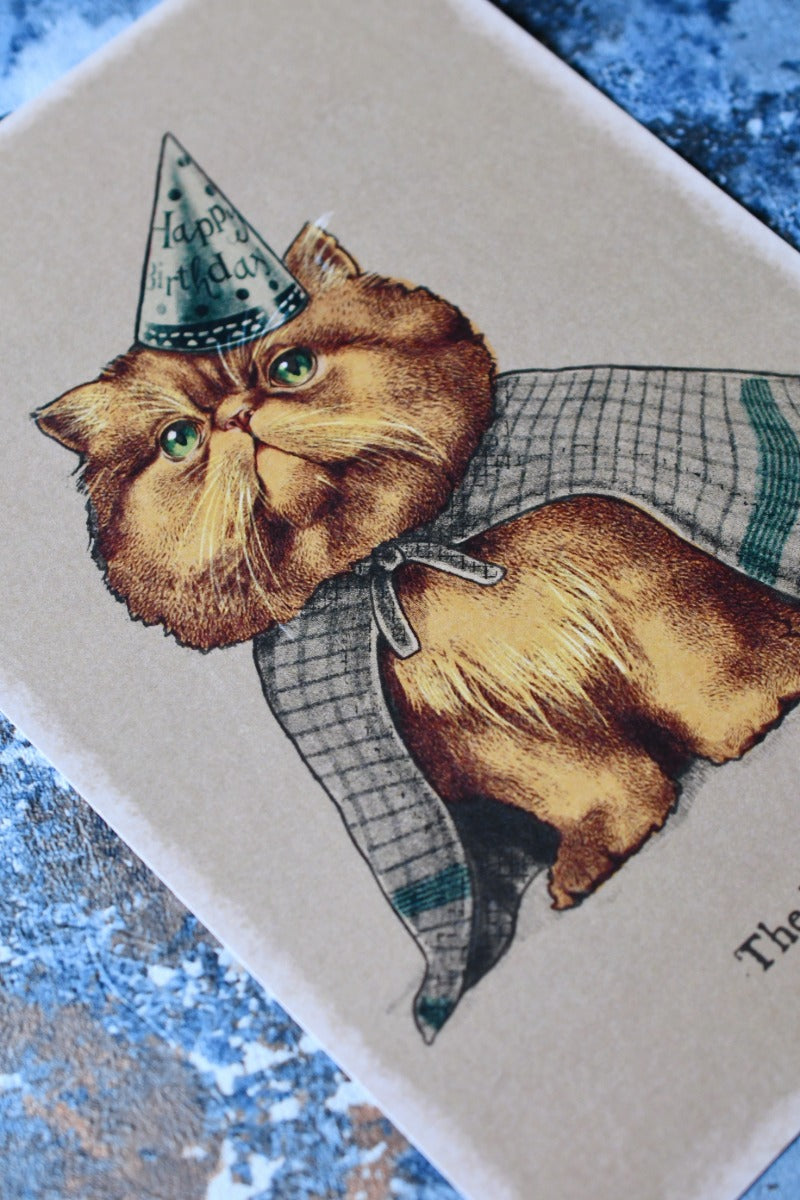 The Wizard Cat - Art Print