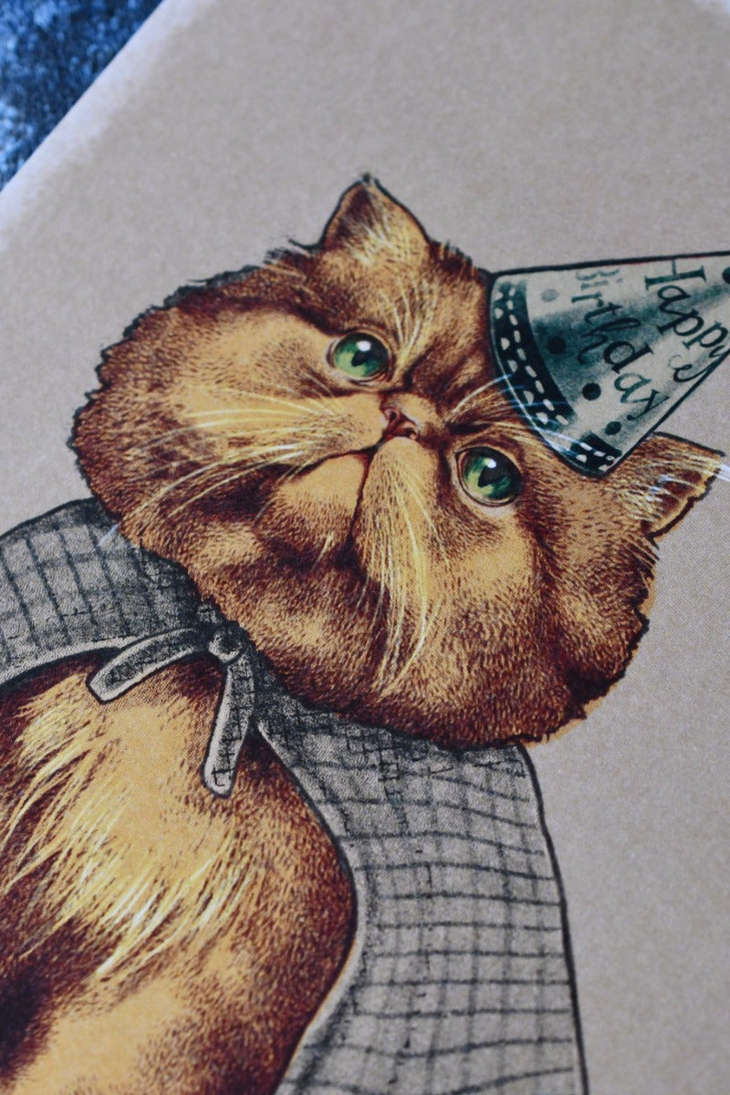The Wizard Cat - Art Print
