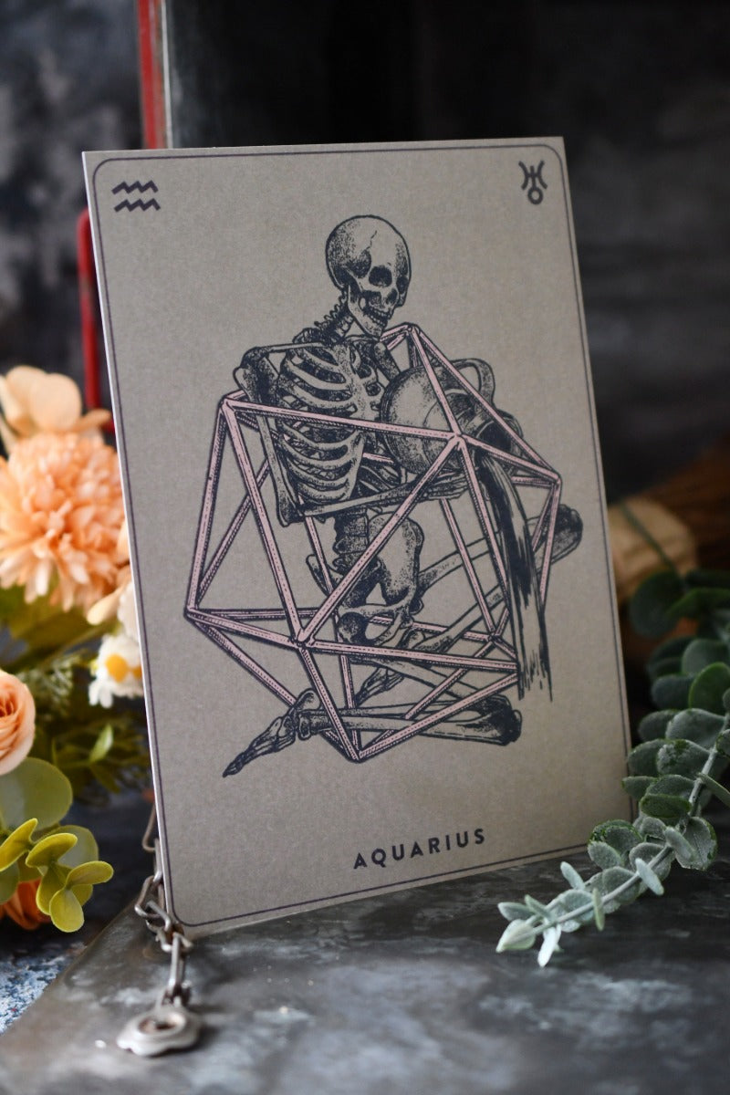 Aquarius - Zodiac d20 Art Print
