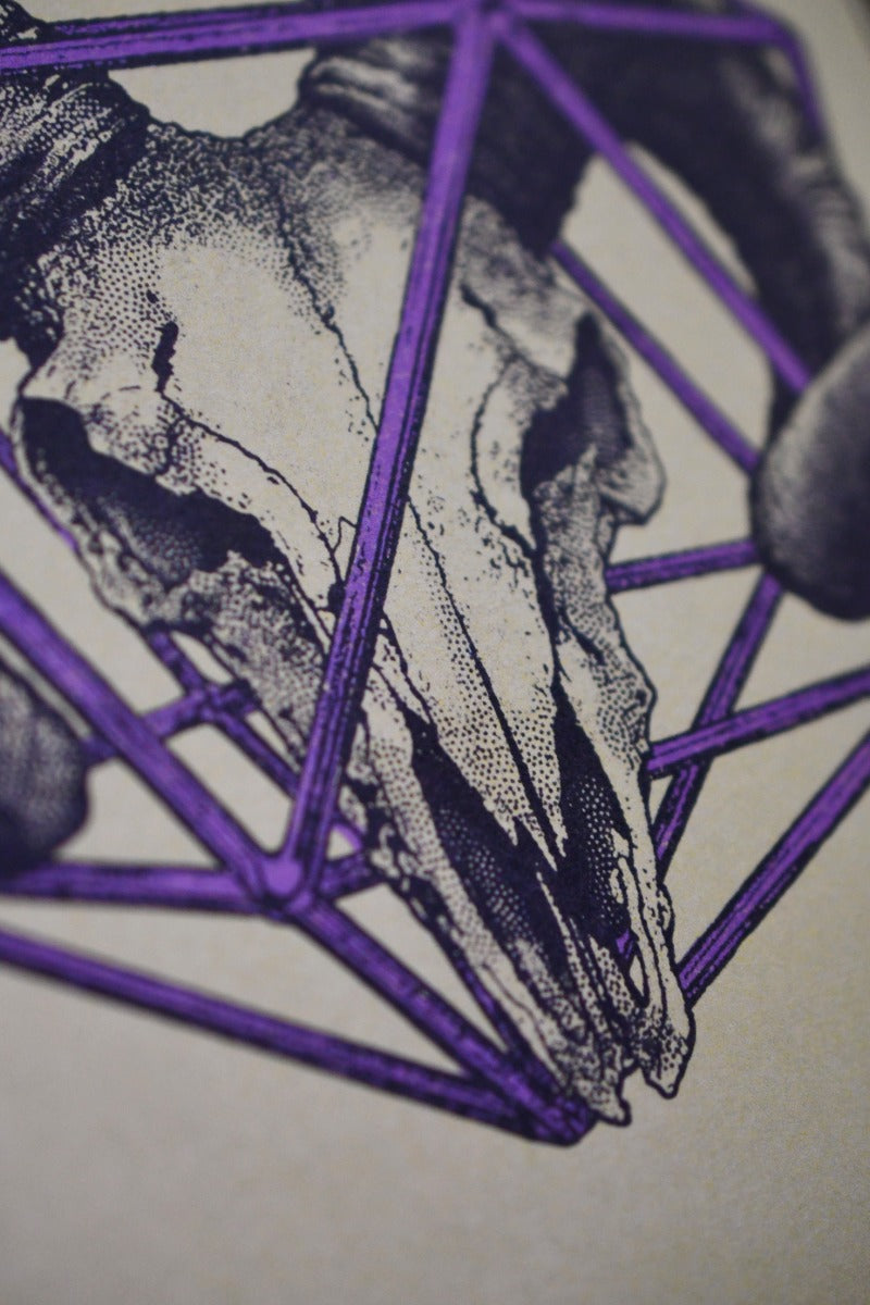 Aries - Zodiac d20 Art Print