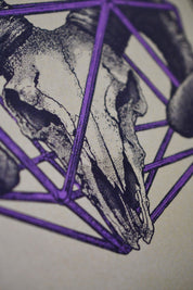 Aries - Zodiac d20 Art Print