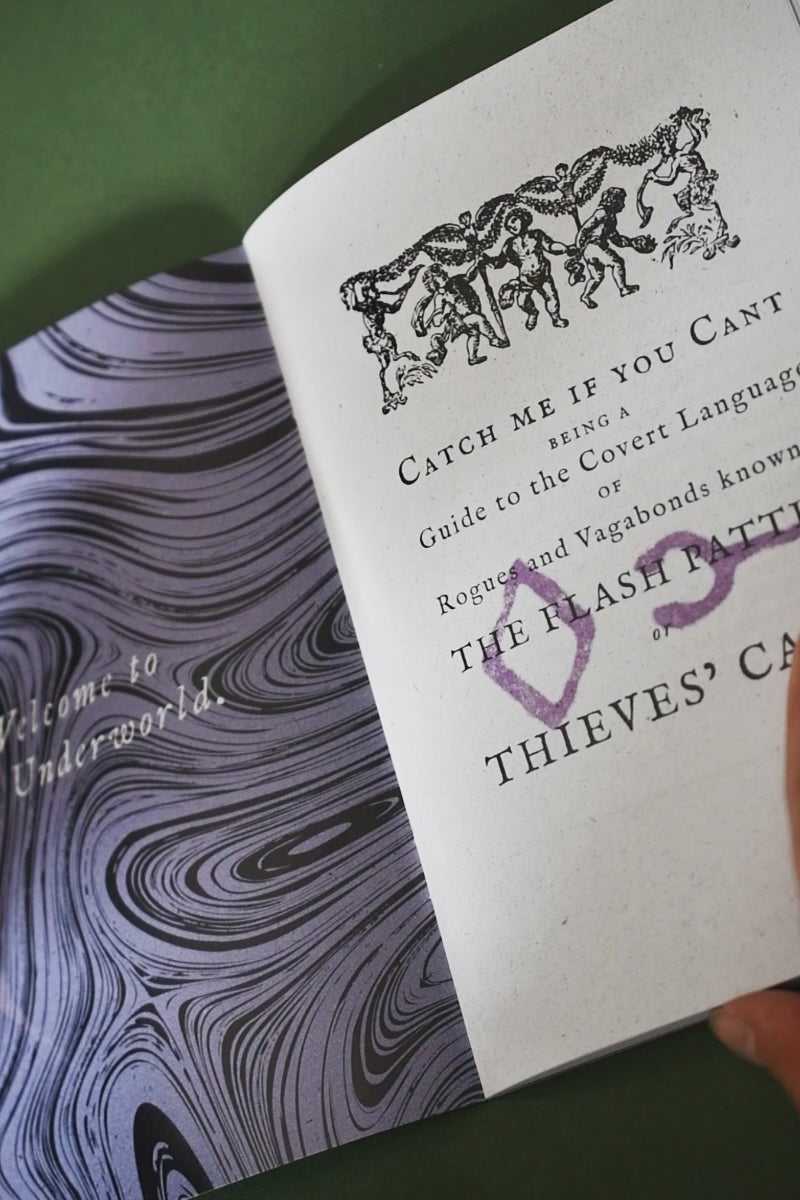 Catch Me if You Cant - The Secret Language of Thieves and How You May Learn to Speak It