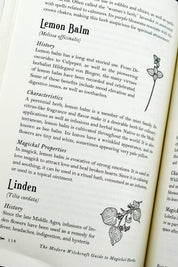 The Modern Witchcraft Guide to Magickal Herbs (Hardcover)