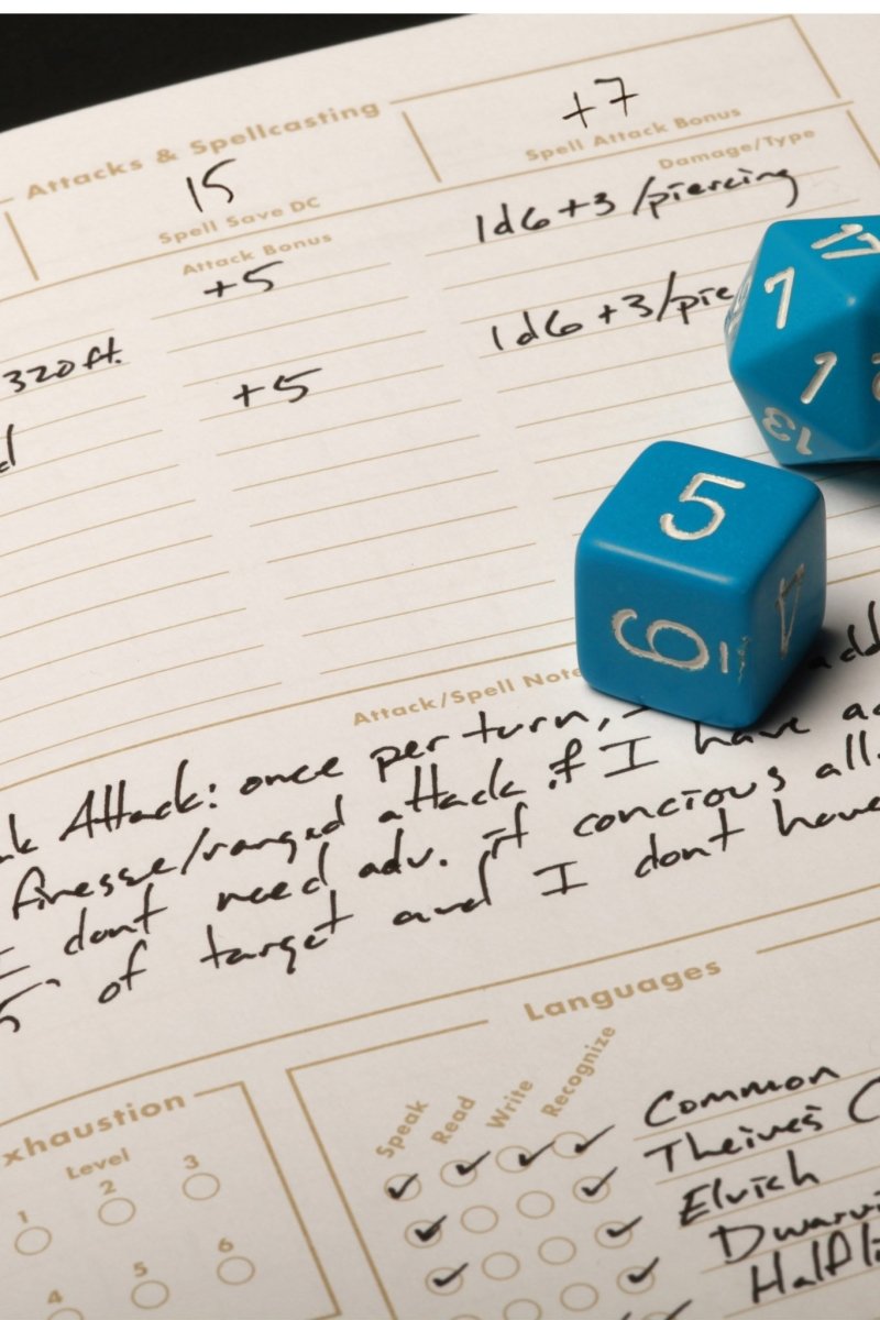 2 Pack - Field Notes 5e Character Journals - GAMETEEUK