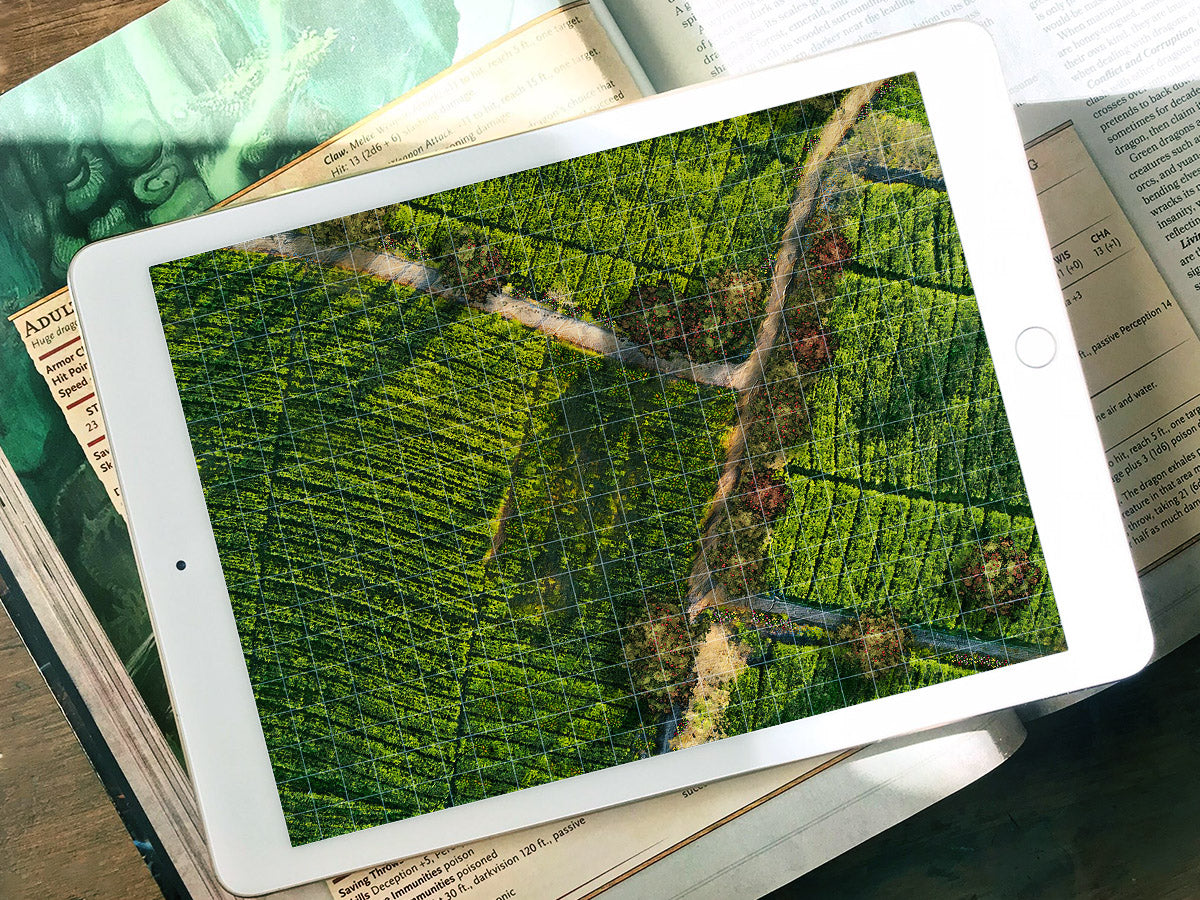 CORNFIELD_PATH_IPAD_WEB.jpg