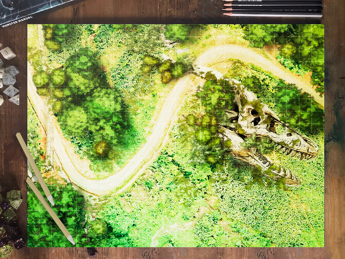 Dragonpath XL - Day and Night Digital Map