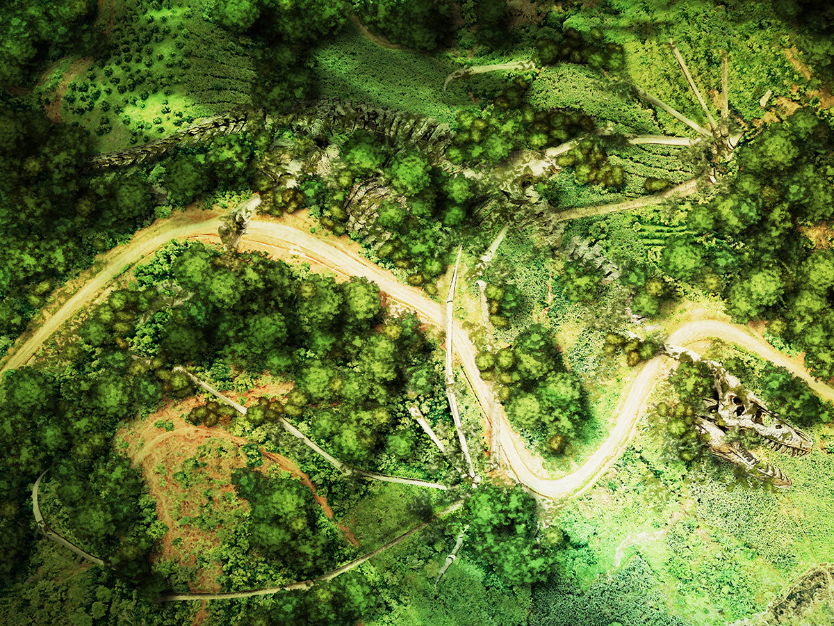 Dragonpath XL - Day and Night Digital Map