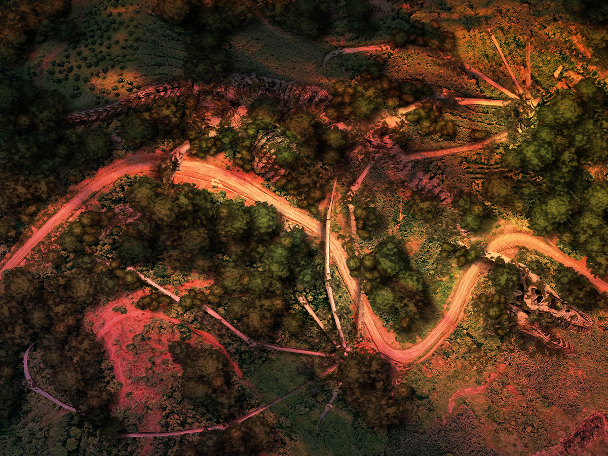 Dragonpath XL - Day and Night Digital Map