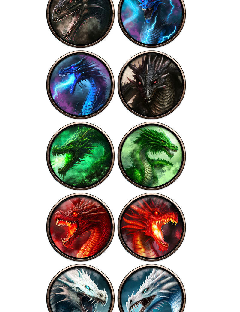 DRAGONS_WEBSITE_VIEW.jpg