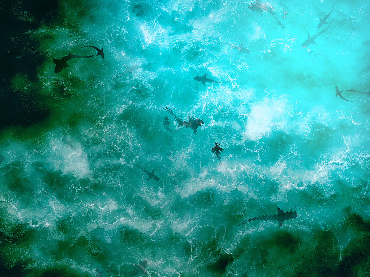 INFESTED_WATERS_WEB.jpg