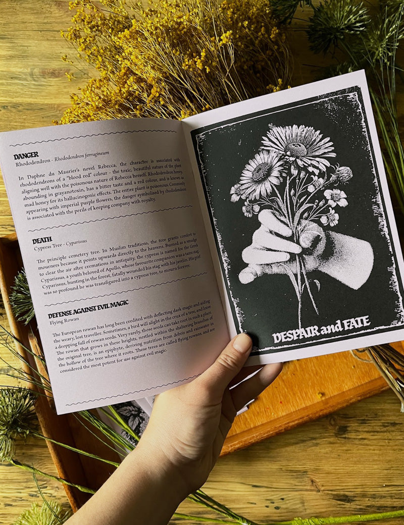 PLANTLORE_ZINE_4.jpg