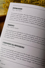 Plantlore - The Old Fashioned Symbolism of Plants Zine