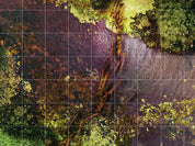 Risky River - Digital Map