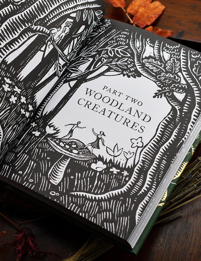 WOODLAND_TREASURY_1.jpg