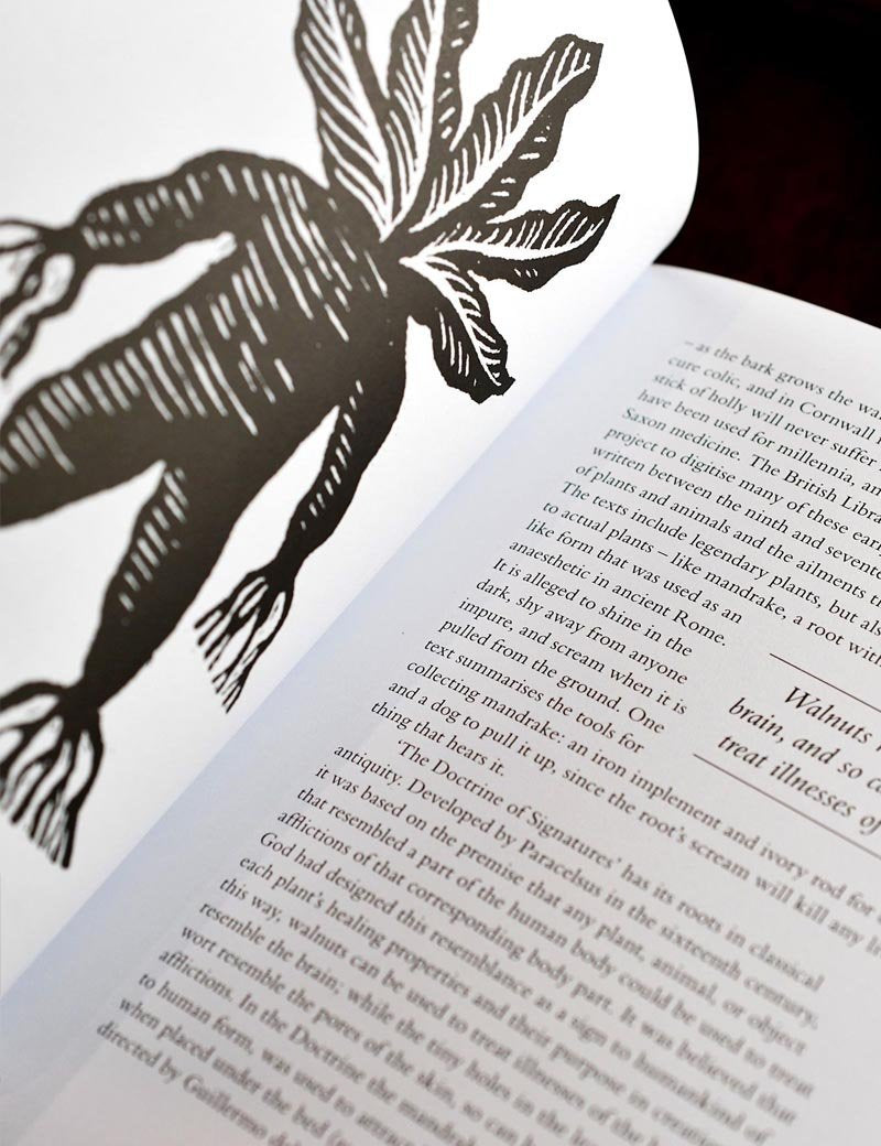 A Treasury of British Folklore: Maypoles, Mandrakes and Mistletoe (Hardcover) - GAMETEEUK