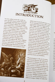 Breverton's Phantasmagoria (Hardcover) - GAMETEEUK