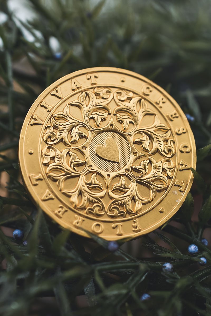 Coin of Vitality - GAMETEEUK