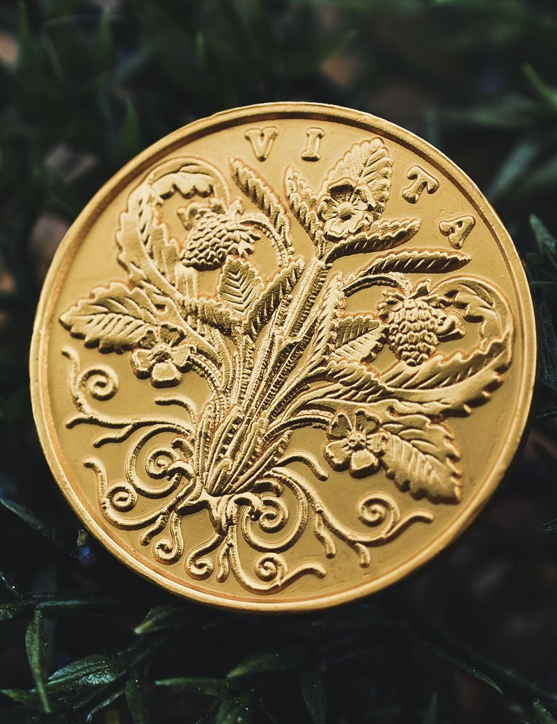 Coin of Vitality - GAMETEEUK