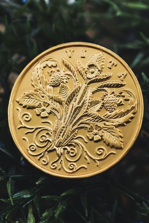 Coin of Vitality - GAMETEEUK