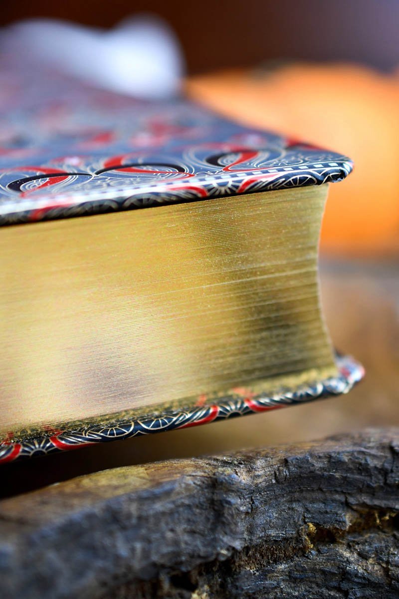 Dracula - Gilded Pages Hardcover Edition - GAMETEEUK