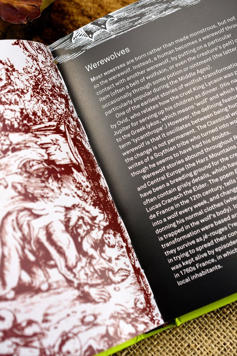 Monsters: A Bestiary of the Bizarre (Hardcover) - GAMETEEUK