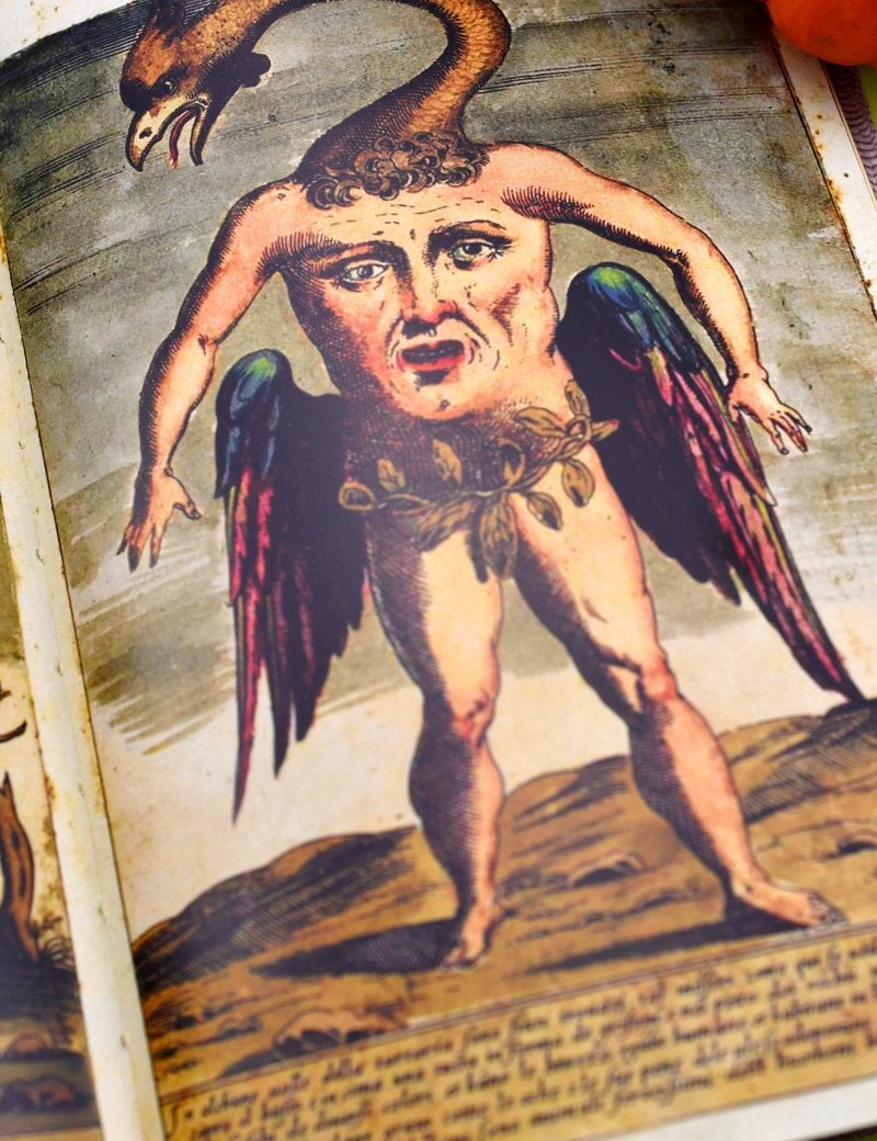 Monsters: A Bestiary of the Bizarre (Hardcover) - GAMETEEUK