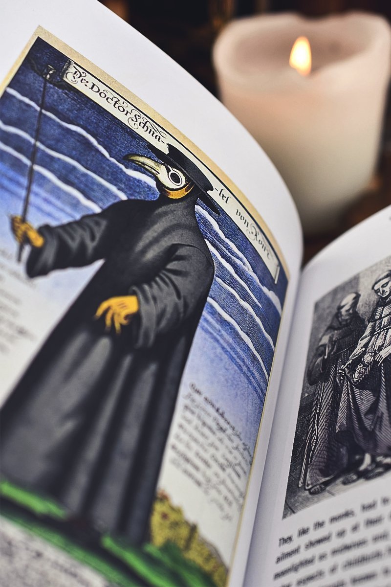 The Witch's Garden - Plants in Folklore, Magic and Traditional Medicine (Hardcover) - GAMETEEUK
