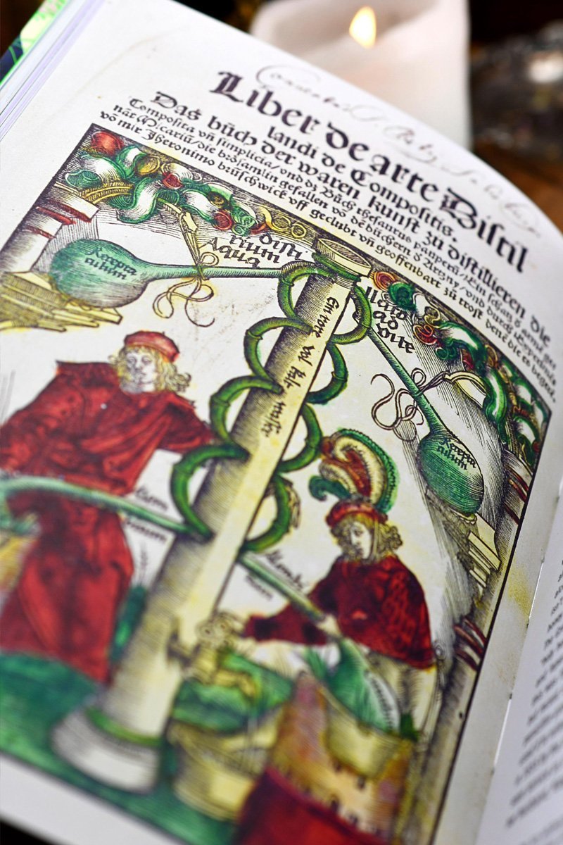 The Witch's Garden - Plants in Folklore, Magic and Traditional Medicine (Hardcover) - GAMETEEUK